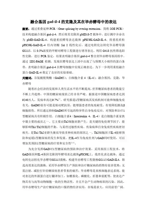 融合基因gad-il-4的克隆及其在毕赤酵母中的表达