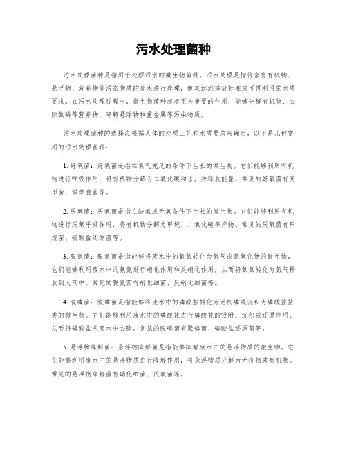 污水处理菌种