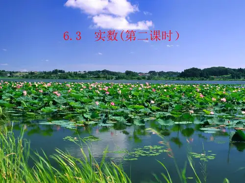 【新】人教版七年级数学下册第六章《6.3 实数(2)》公开课课件.ppt