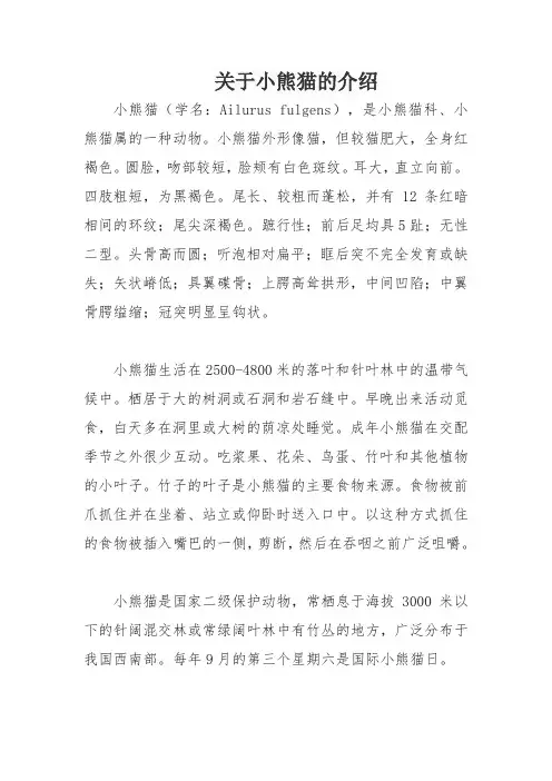 关于小熊猫的介绍
