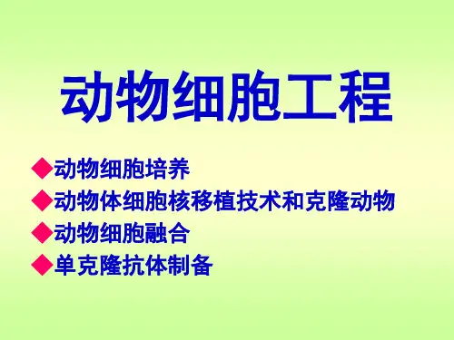 (讲课)动物细胞工程课件