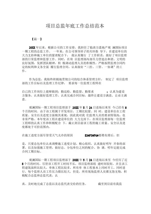 2019年项目总监年底工作总结模板