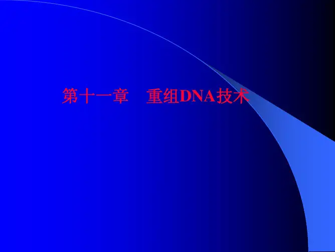 哈工大 生物工程导论 第十一章   重组DNA技术