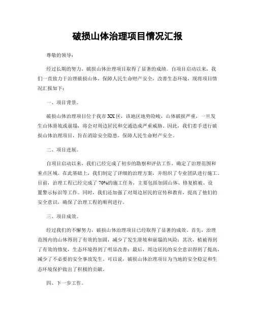 破损山体治理项目情况汇报