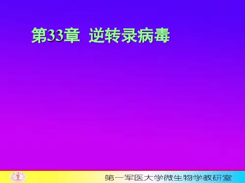 艾滋病毒
