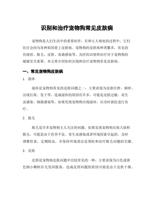 识别和治疗宠物狗常见皮肤病