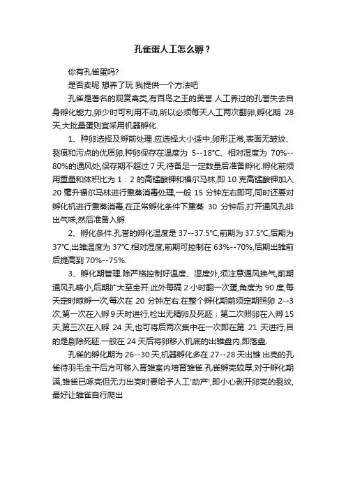 孔雀蛋人工怎么孵？