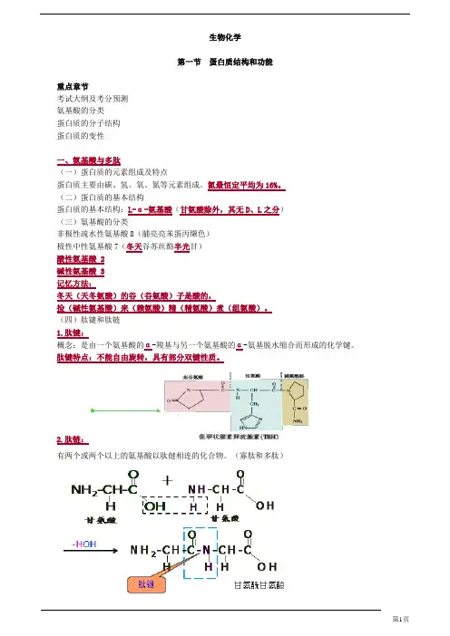 初级药士-基础知识-生物化学(18页)