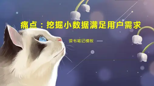 痛点：挖掘小数据满足用户需求