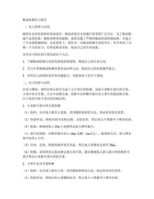 粮油检测实习报告