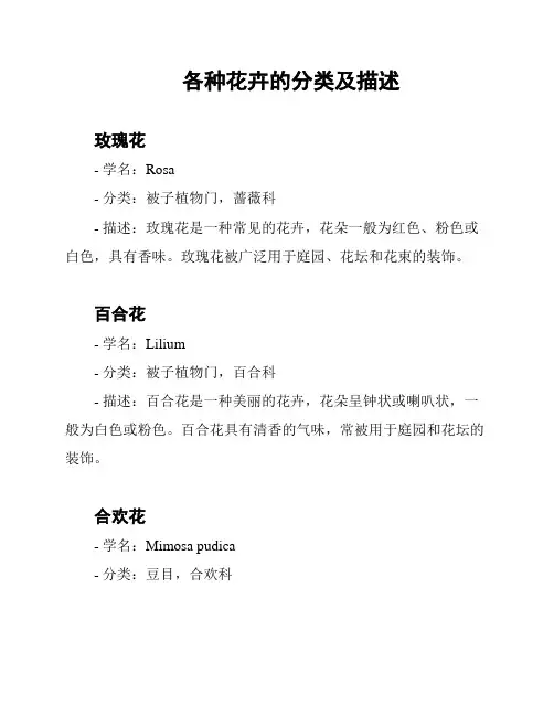 各种花卉的分类及描述