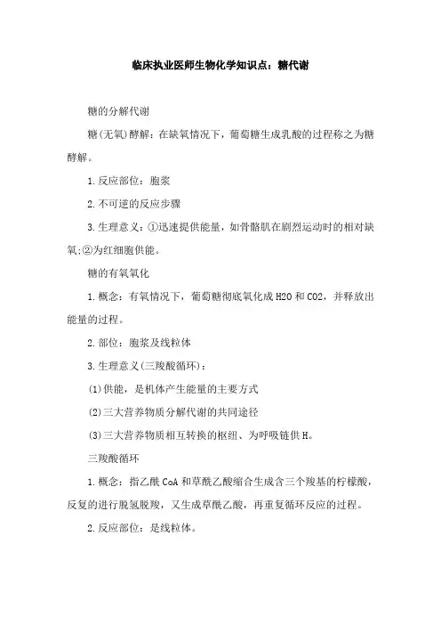 临床执业医师生物化学知识点：糖代谢