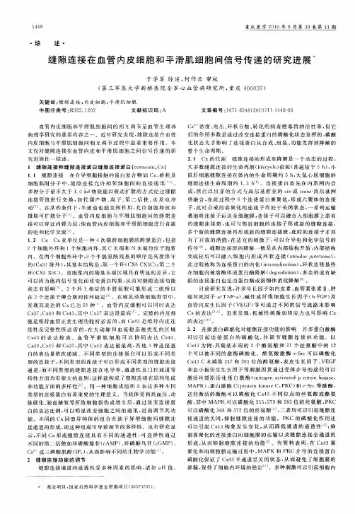 缝隙连接在血管内皮细胞和平滑肌细胞间信号传递的研究进展