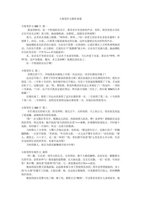 小练笔作文精彩9篇