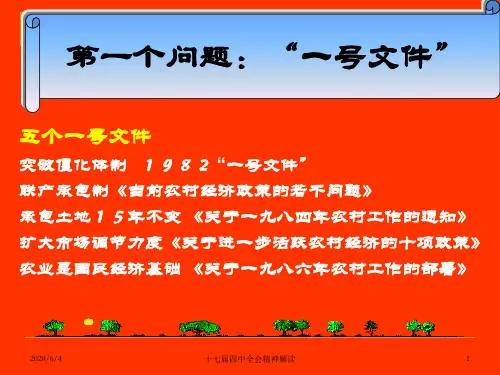 中央一号文件解读28页PPT文档