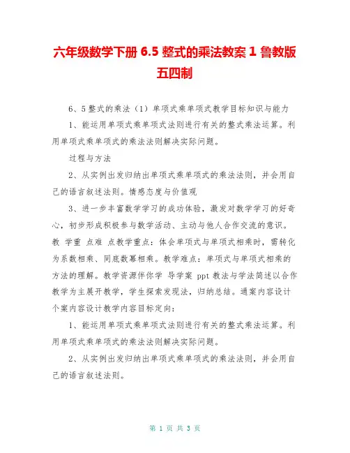 六年级数学下册6.5 整式的乘法教案1 鲁教版五四制