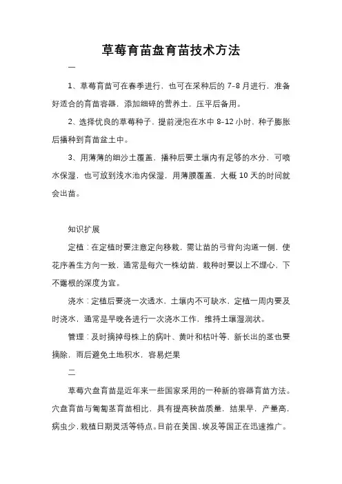 草莓育苗盘育苗技术方法