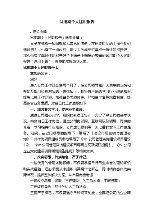 试用期个人述职报告
