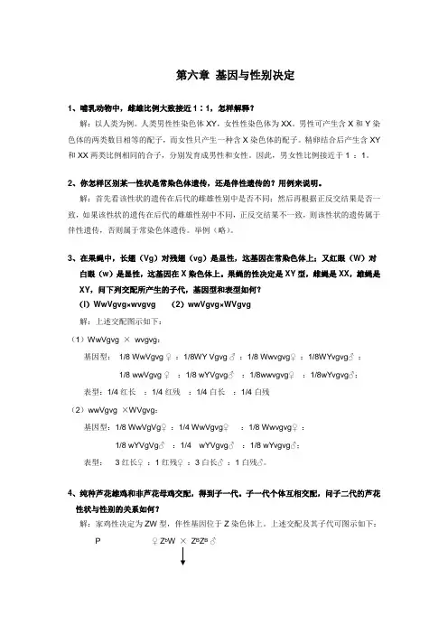 遗传学第三版  6 性别决定与伴性遗传