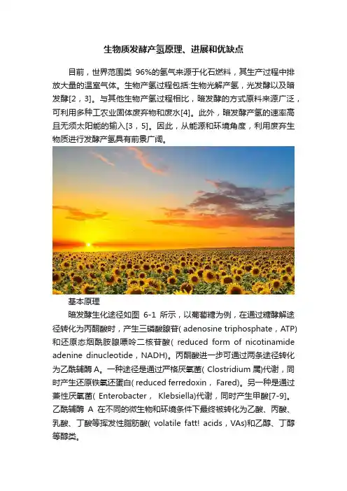 生物质发酵产氢原理、进展和优缺点