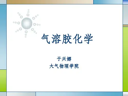 《气溶胶化学》PPT课件