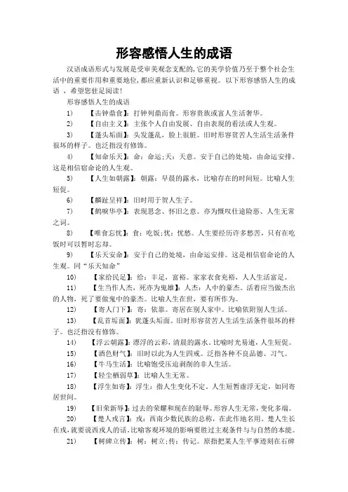 形容感悟人生的成语