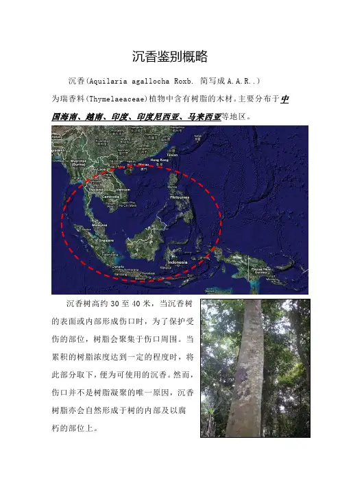 沉香品质鉴别