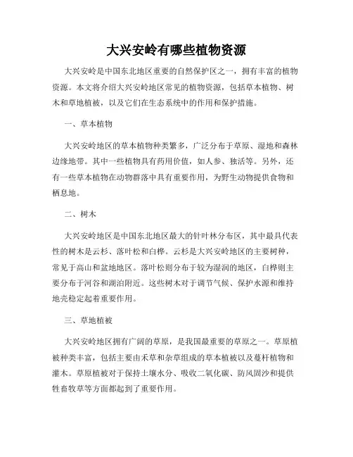 大兴安岭有哪些植物资源