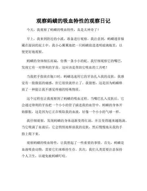小学三年级作文观察蚂蟥的吸血特性的观察日记