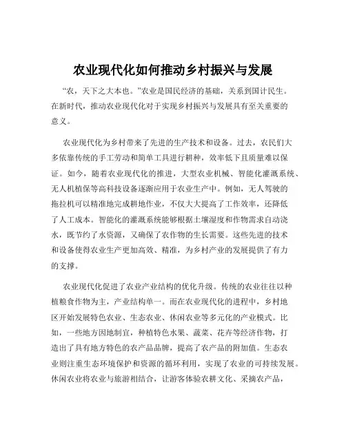农业现代化如何推动乡村振兴与发展