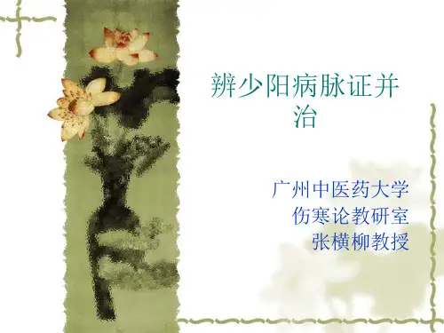 伤寒论--少阳病篇(七版)