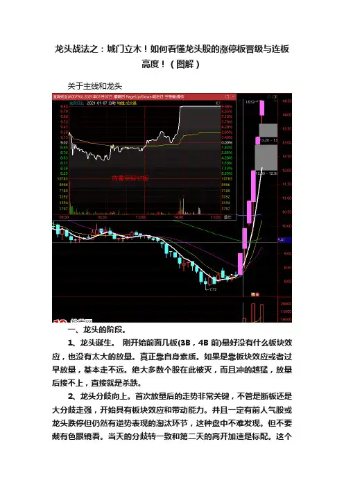 龙头战法之：城门立木！如何看懂龙头股的涨停板晋级与连板高度！（图解）