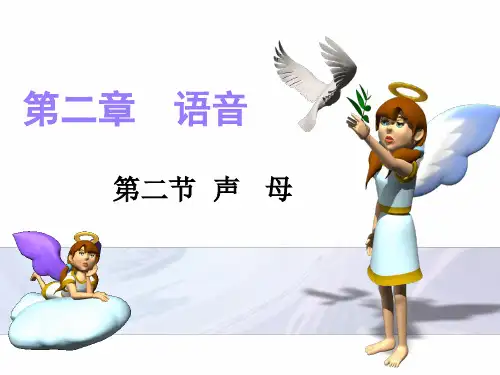 声母的分类