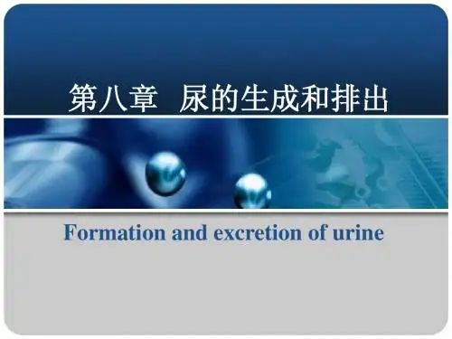 泸州医学院生理课件第8章 尿液的生成和排出(8学时)