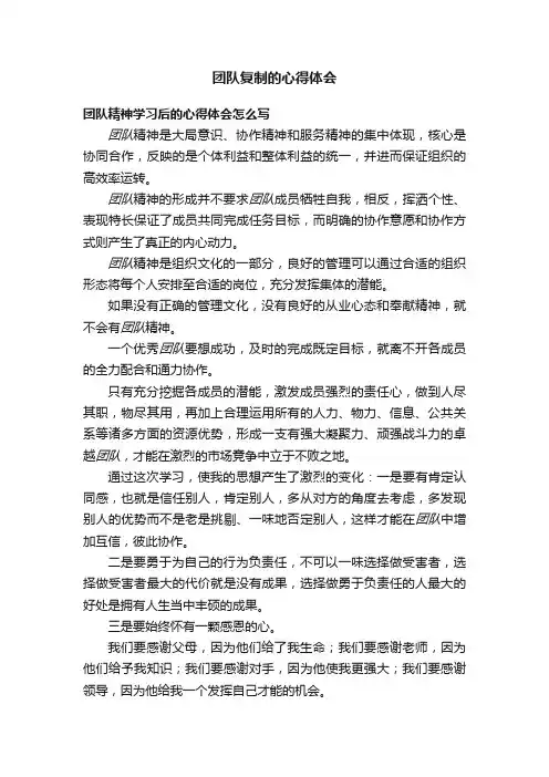 团队复制的心得体会