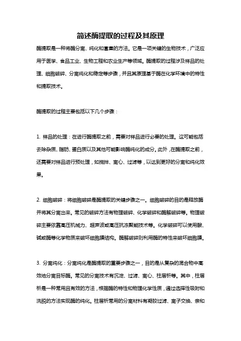 简述酶提取的过程及其原理