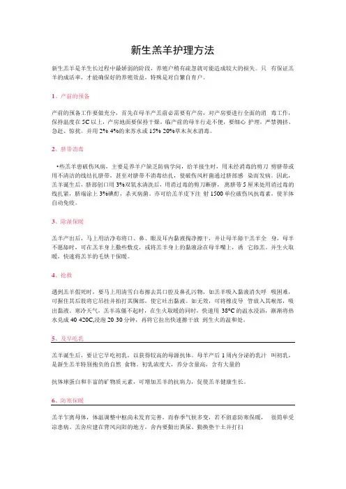 新生羔羊护理方法