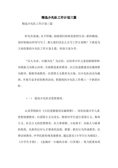 2021年精选少先队工作计划三篇