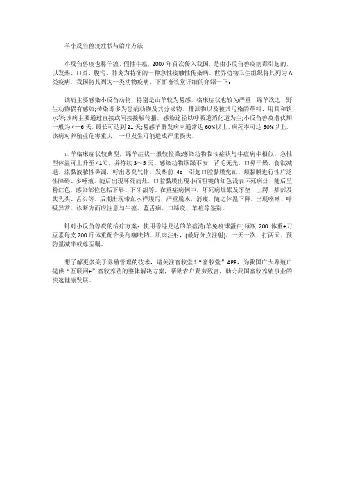 羊小反刍兽疫症状与治疗方法