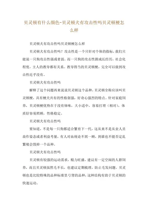 贝灵顿有什么颜色-贝灵顿犬有攻击性吗贝灵顿梗怎么样