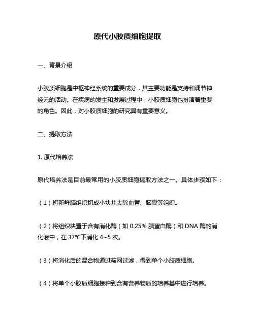 原代小胶质细胞提取