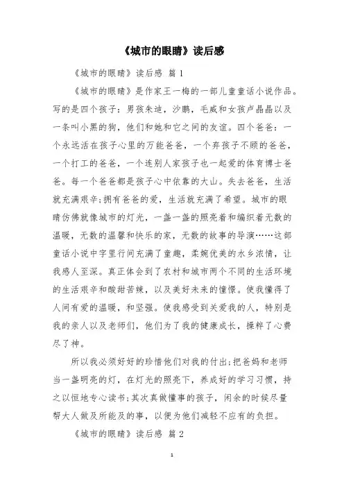 《城市的眼睛》读后感