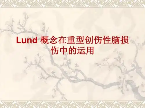 Lund_概念在重型创伤性脑损伤
