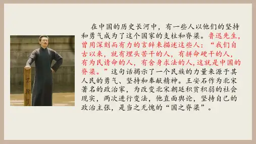《答司马谏议书》ppt课件
