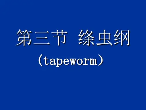 第三节绦虫纲