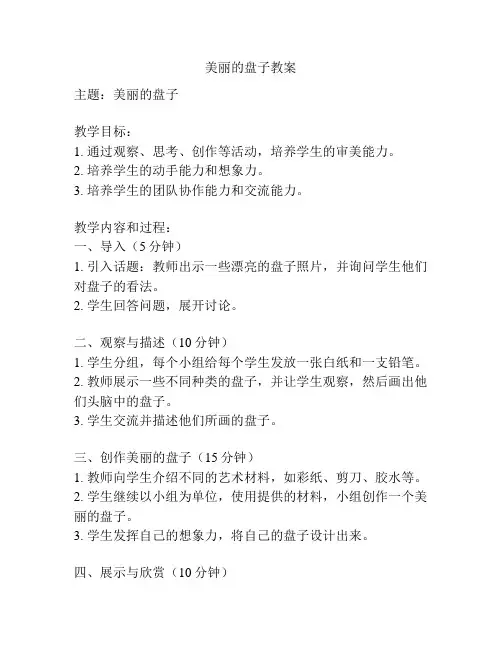 美丽的盘子教案