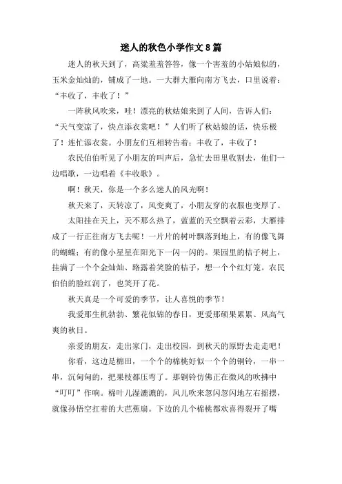 迷人的秋色小学作文8篇