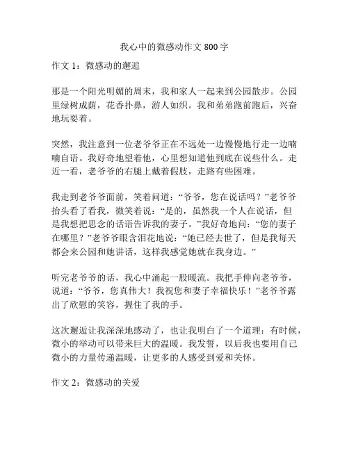 我心中的微感动作文800字