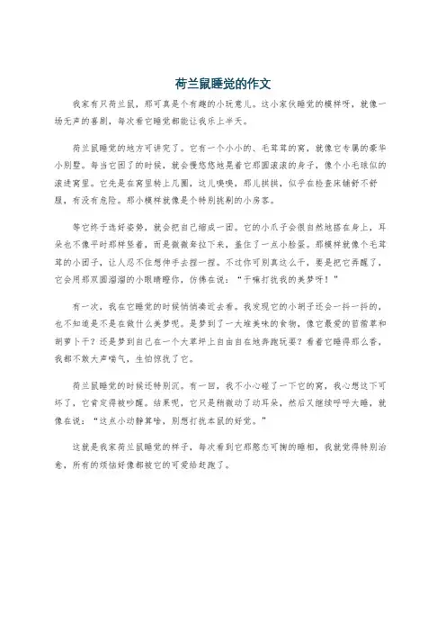 荷兰鼠睡觉的作文