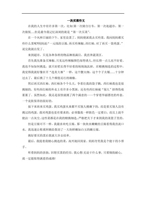 一次买菜作文